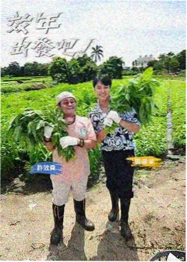 荒野厨房 美食户外综艺在线免费观看